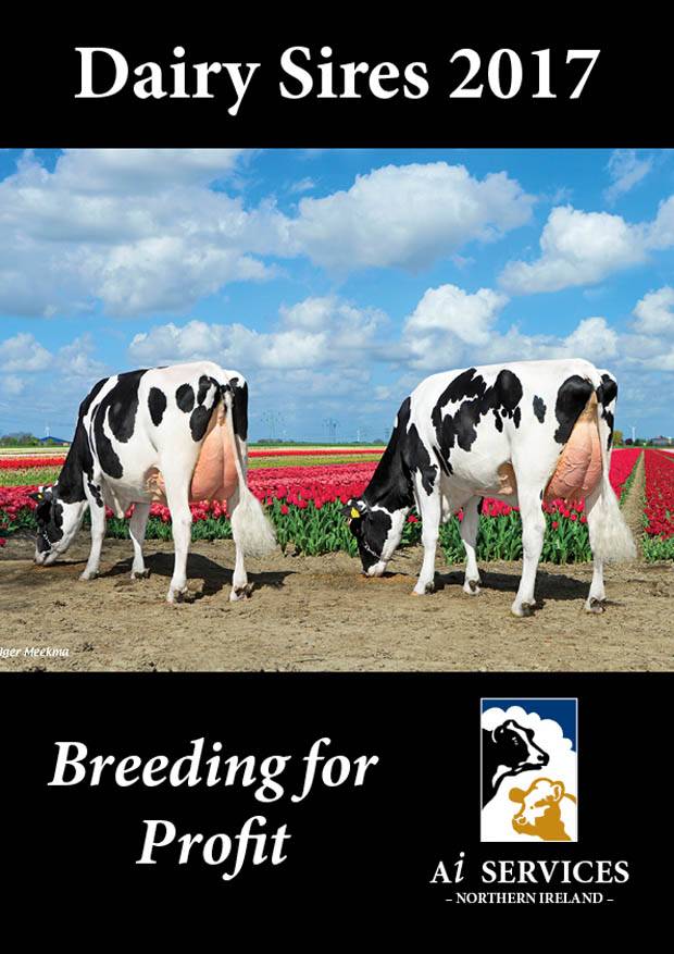 AI Services Launches the new 2016/17 Dairy Catalogue