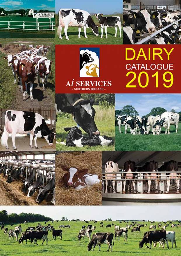 AI Services' Dairy Catalogue 2019 is Launched