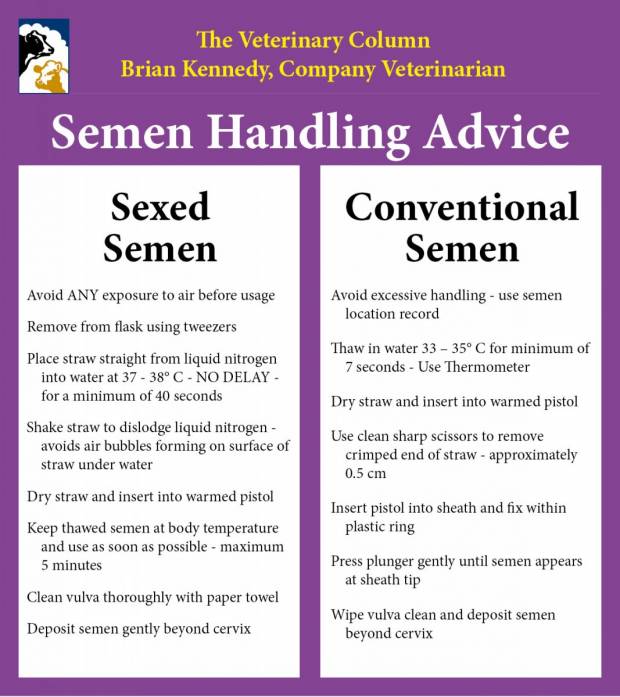 The Veterinary Column - Handling Conventional  and Sexed Semen