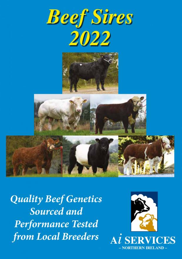 2022 Beef Catalogue Published
