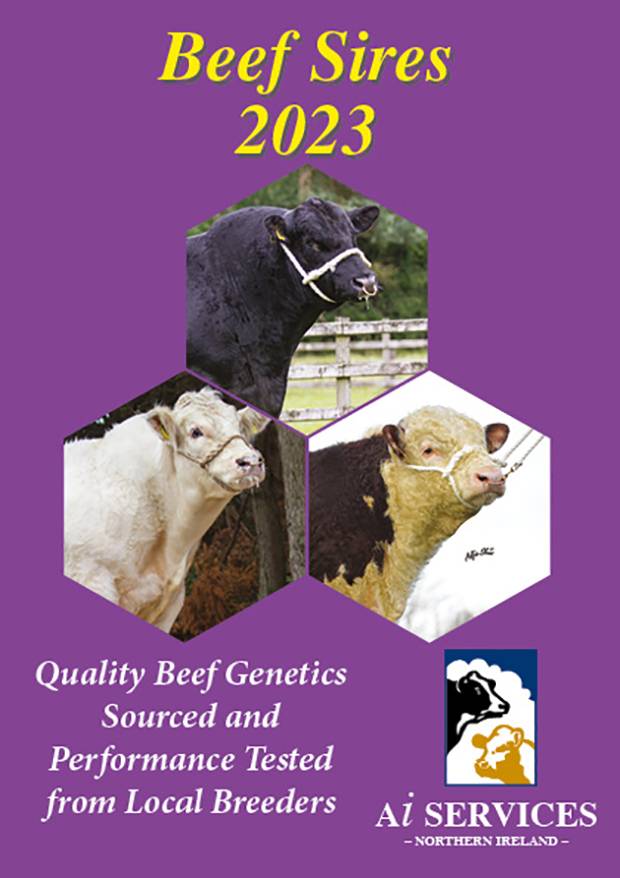 2023 Beef Catalogue Published