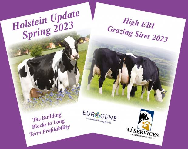 Spring 2023 Holstein and High EBI Sire Catalogue