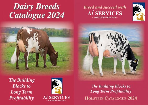 AI Services publishes its 2024 Dairy Catalogues 