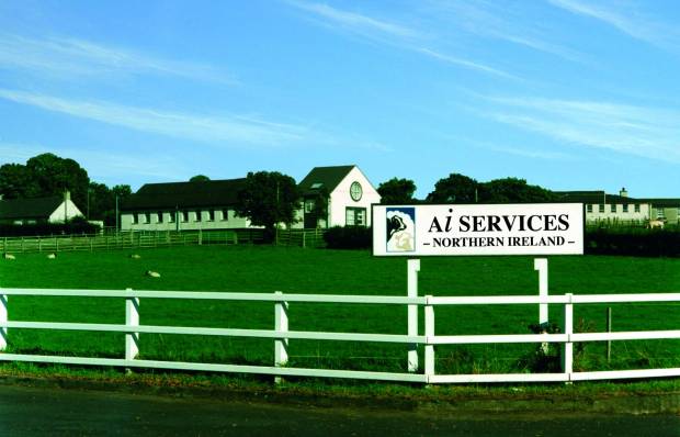 AI Services Northern Ireland's 'stud farm' granted approval for £3.5m facility redevelopment
