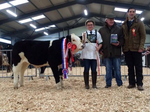 Delboy Heifer, Exhibited and bred by Sarah Muarry, Moate.