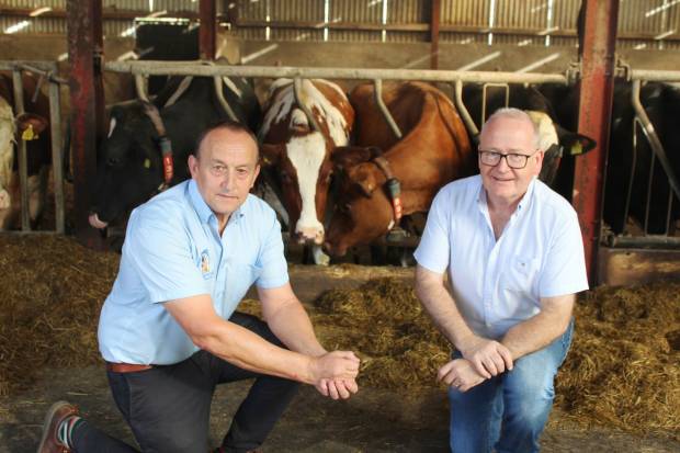 Breeding Manager Ivan Minford with Des Kelly