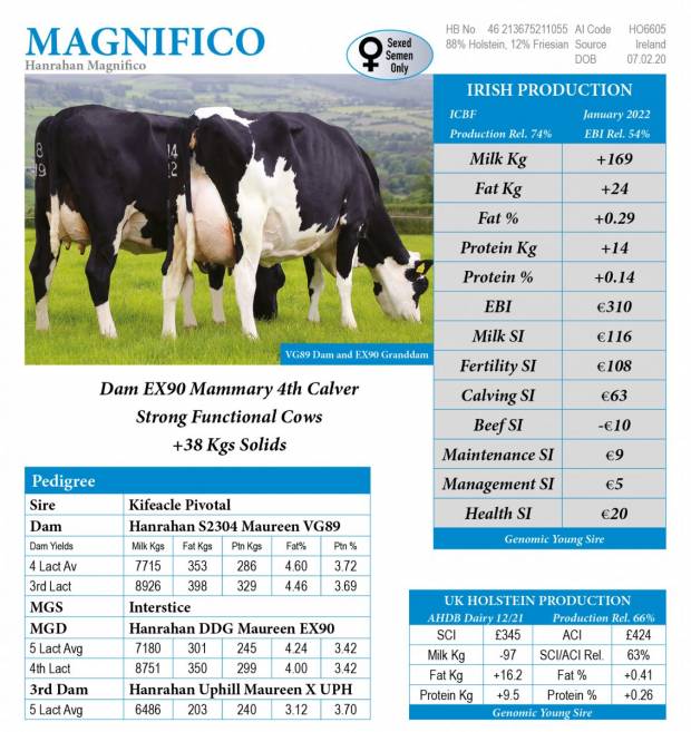 New Dairy Catalogue for Spring Calving Herds 