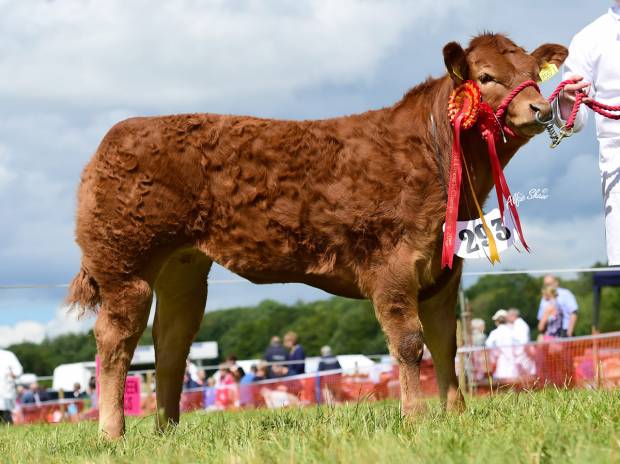 Norman Ely Daughter sells for 7,500gns