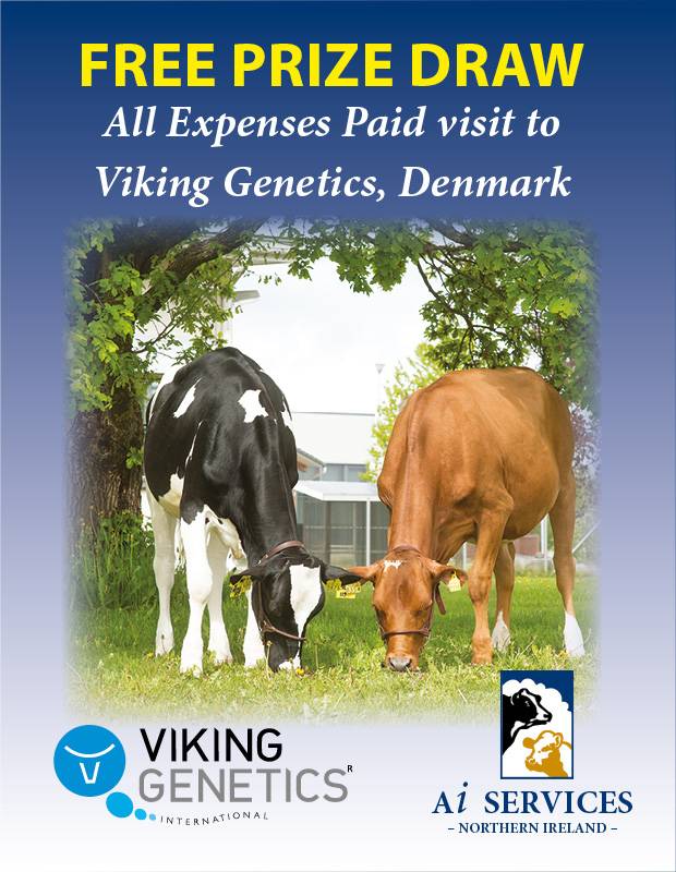 Winter Fair - Prize Draw for a trip to Viking Genetics