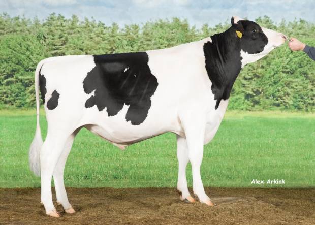 Double-W Ranger features in Holstein International Magazine