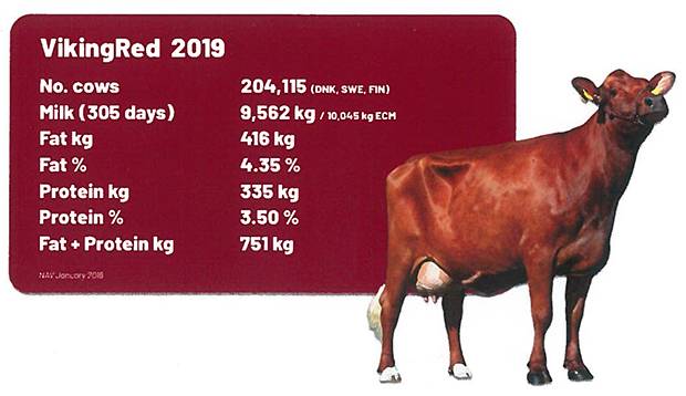 AI Services have access to the full range of VikingRed Sires