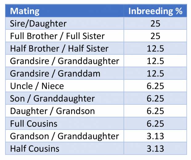 Inbreeding Percentages
