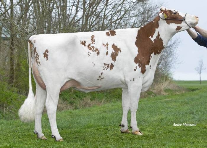 MGD:  Lakeside UPS Red Range VG86