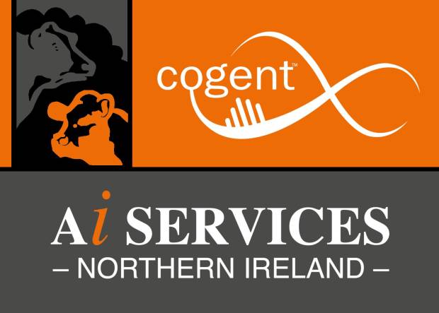Cogent Ai Services Website