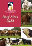 Beef Sires 2024