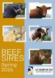 Beef Sires Spring 2026