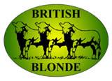 British Blonde